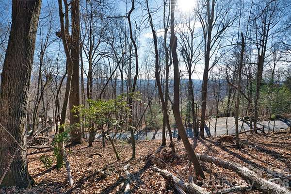 1 Acre of Residential Land for Sale in Mills River, North Carolina