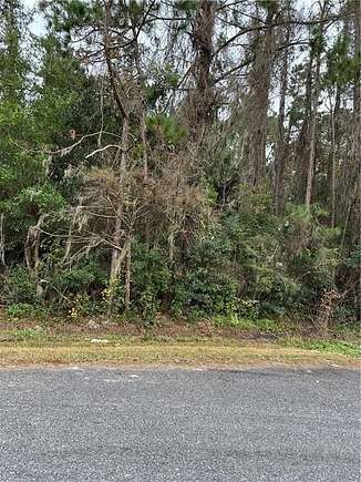 1.74 Acres of Residential Land for Sale in Brunswick, Georgia