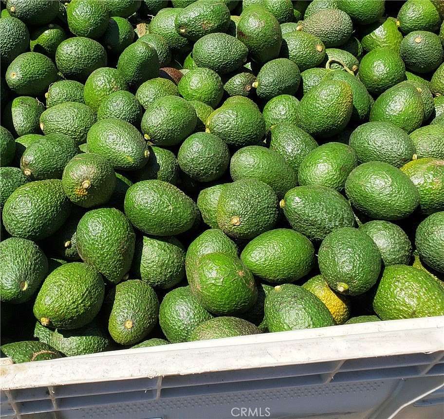 40.6 Acres of Agricultural Land for Sale in Temecula, California