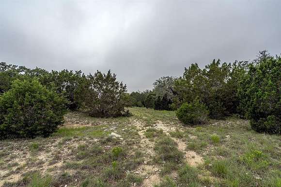 9.92 Acres of Residential Land for Sale in Liberty Hill, Texas