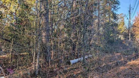 0.45 Acres of Residential Land for Sale in Laurens, South Carolina