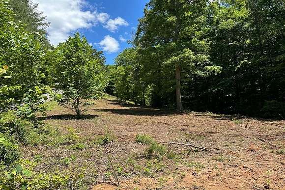 1.3 Acres of Land for Sale in Hayesville, North Carolina