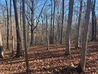 0.33 Acres of Residential Land for Sale in Bella Vista, Arkansas