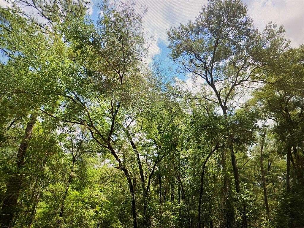 0.26 Acres of Residential Land for Sale in Citrus Springs, Florida