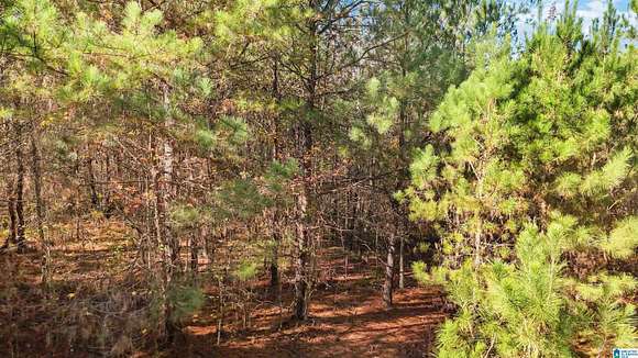 5 Acres of Residential Land for Sale in Bessemer, Alabama