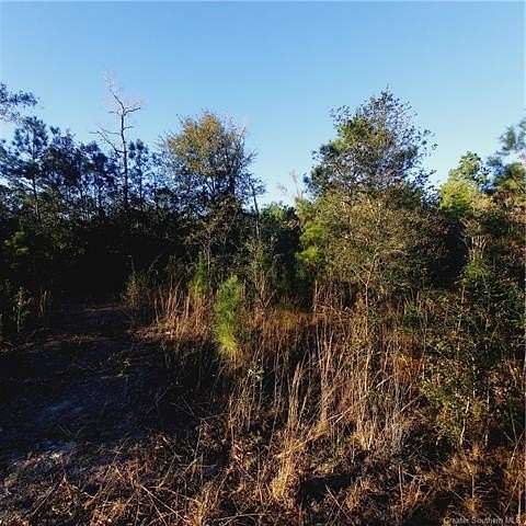 23.583 Acres of Recreational Land for Sale in Sulphur, Louisiana