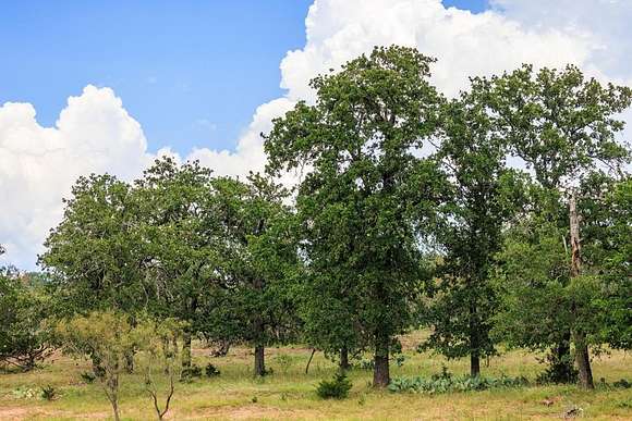 160 Acres of Agricultural Land for Sale in Fredericksburg, Texas