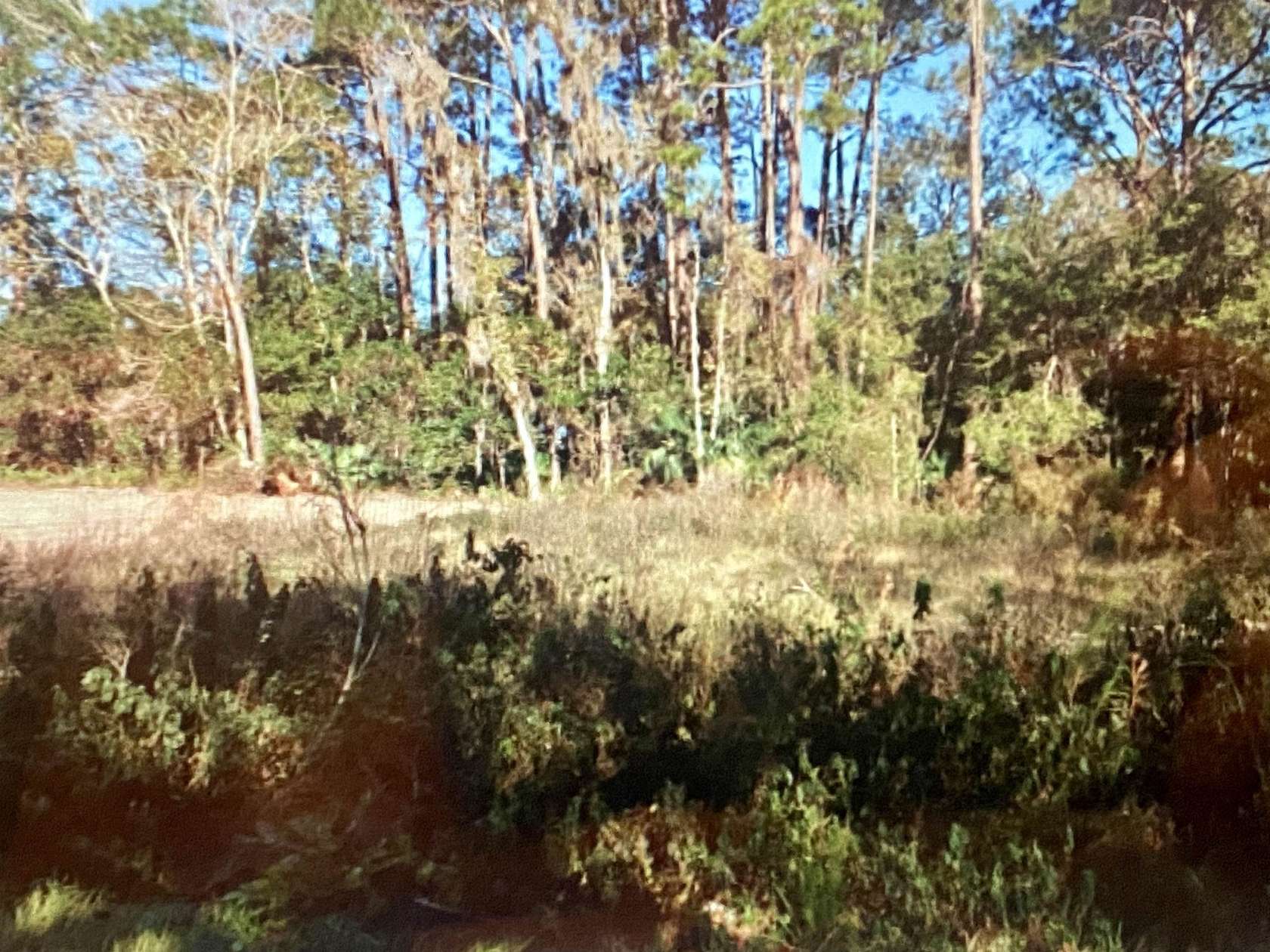 0.25 Acres of Residential Land for Sale in St. Augustine, Florida