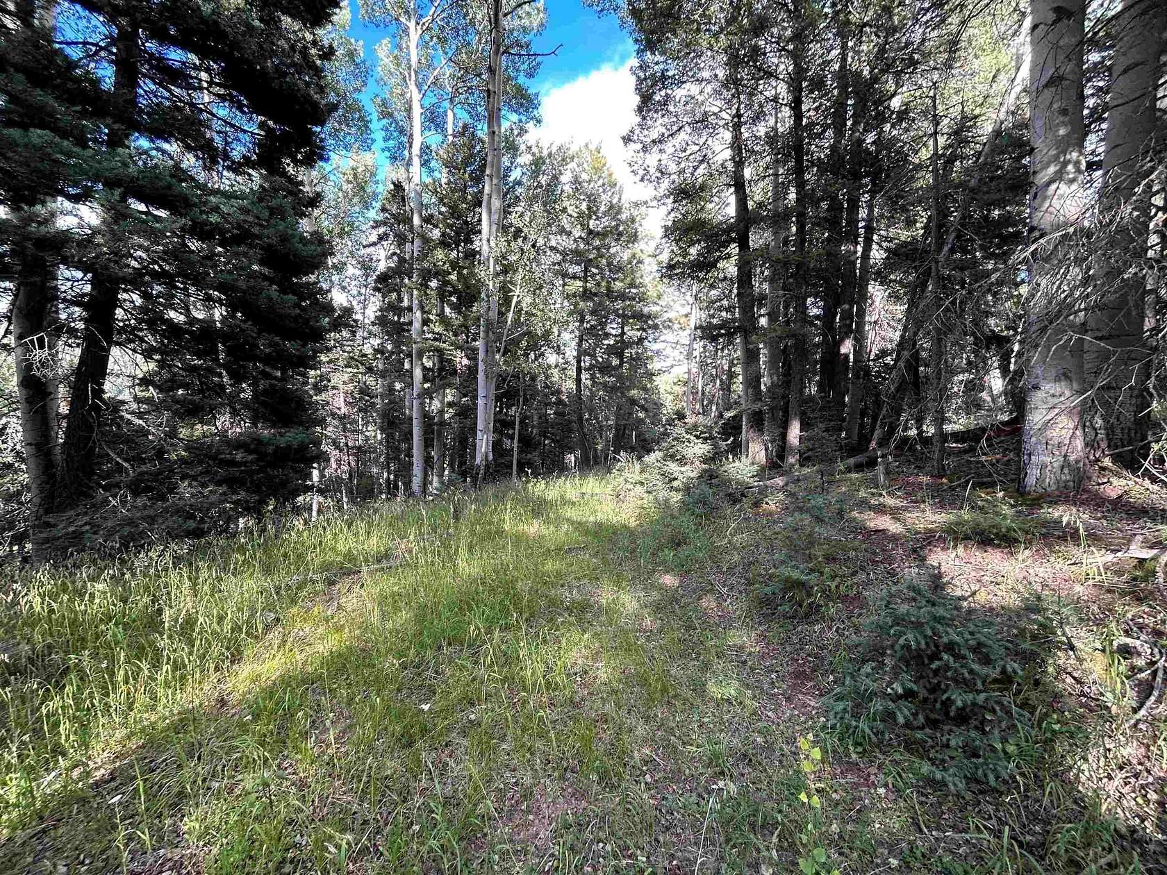 0.76 Acres of Residential Land for Sale in Angel Fire, New Mexico