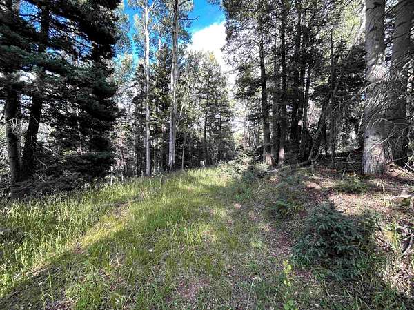 0.76 Acres of Land for Sale in Angel Fire, New Mexico