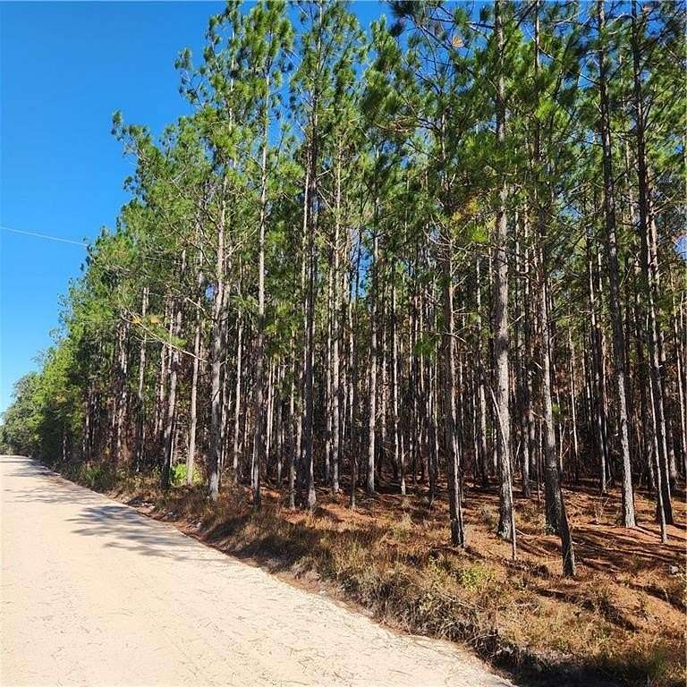 2.83 Acres of Land for Sale in Nahunta, Georgia