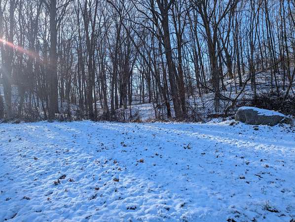 0.66 Acres of Residential Land for Sale in Ionia, Michigan