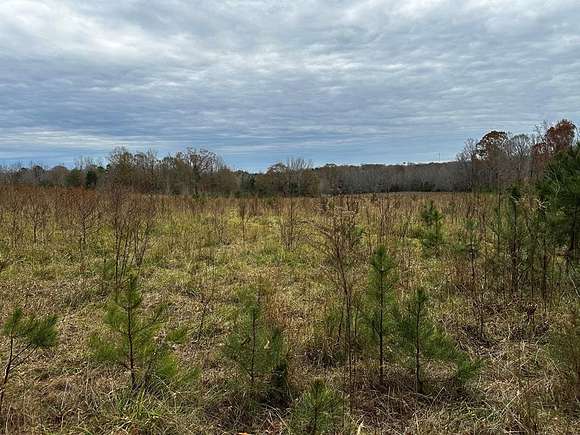 167 Acres of Land for Sale in Donalds, South Carolina