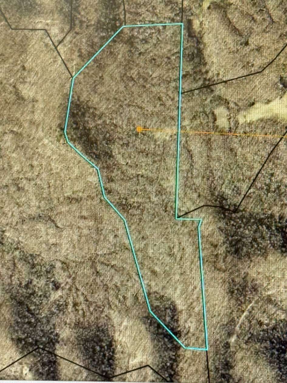 63 Acres of Recreational Land for Sale in Bradfordsville, Kentucky