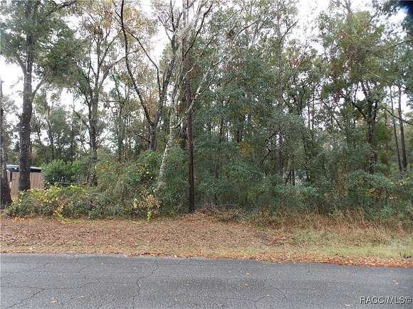 0.22 Acres of Residential Land for Sale in Inverness, Florida