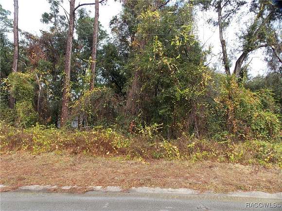 0.22 Acres of Residential Land for Sale in Inverness, Florida