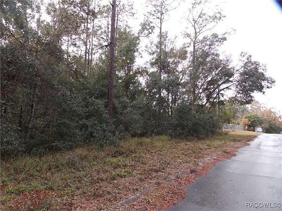 0.22 Acres of Residential Land for Sale in Inverness, Florida