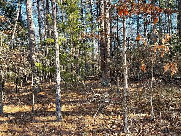 0.63 Acres of Residential Land for Sale in Fairfield Bay, Arkansas