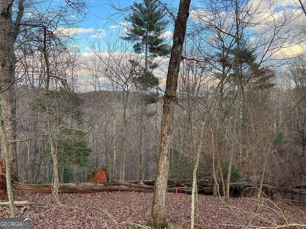 2 Acres of Land for Sale in Ellijay, Georgia