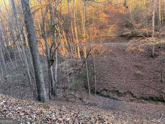 1 Acre of Land for Sale in Ellijay, Georgia