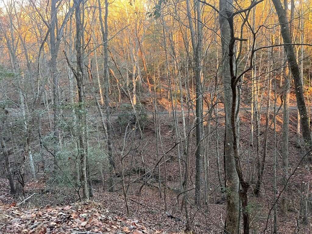 1 Acre of Land for Sale in Ellijay, Georgia