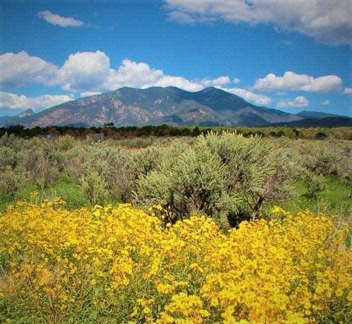 4.6 Acres of Land for Sale in Taos, New Mexico