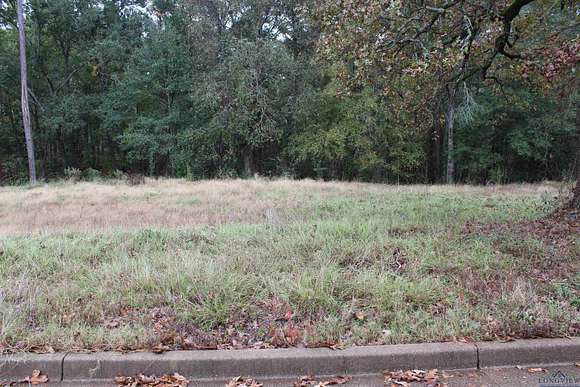 0.43 Acres of Land for Sale in Kilgore, Texas