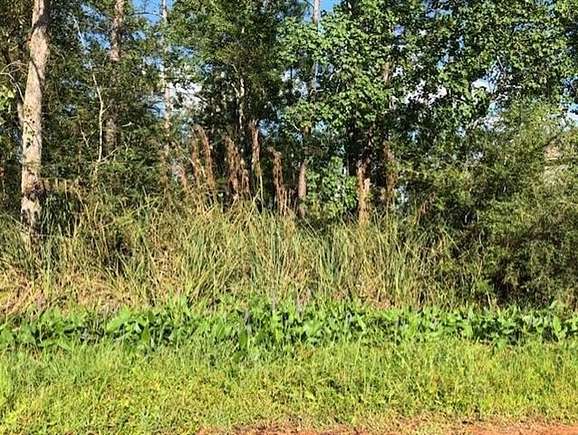 Residential Land for Sale in Slidell, Louisiana