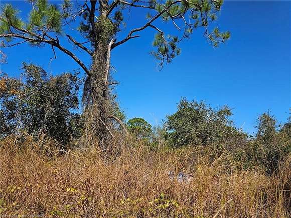 0.23 Acres of Residential Land for Sale in Lake Placid, Florida