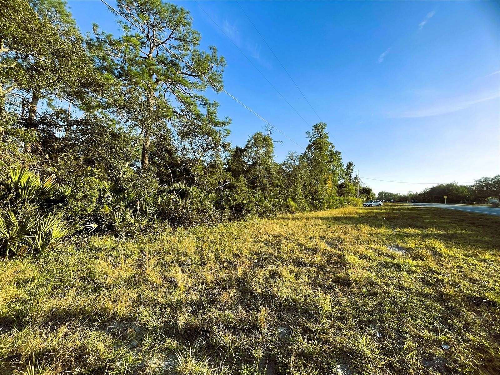 0.3 Acres of Residential Land for Sale in Altoona, Florida