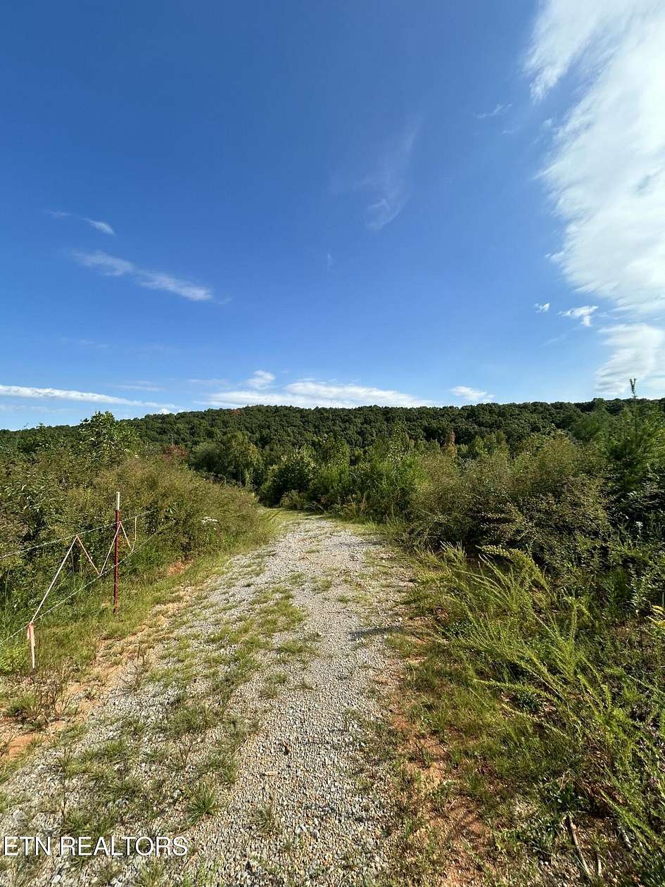 13.02 Acres of Land for Sale in Ten Mile, Tennessee