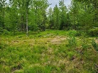 10.6 Acres of Recreational Land for Sale in Monson, Maine