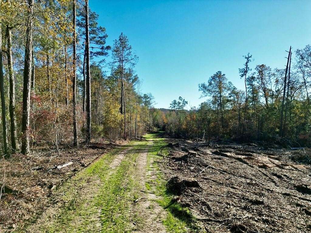 24.5 Acres of Agricultural Land for Sale in Troy, Alabama