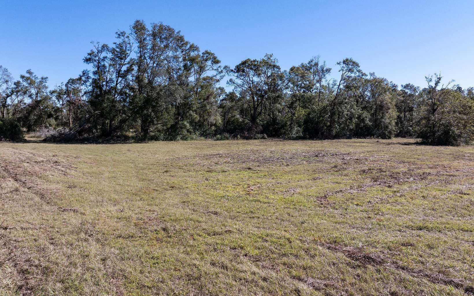 16.26 Acres of Land for Sale in Live Oak, Florida