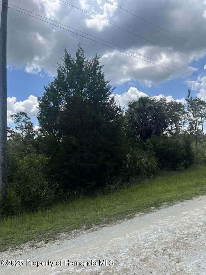 1.2 Acres of Residential Land for Sale in Brooksville, Florida