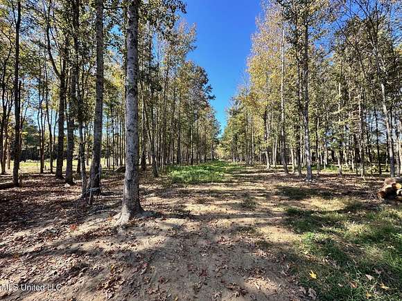 14 Acres of Land for Sale in Carthage, Mississippi