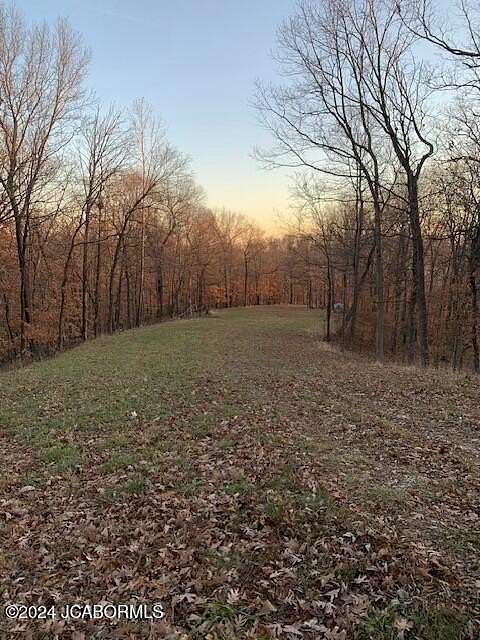 26.47 Acres of Land for Sale in Holts Summit, Missouri