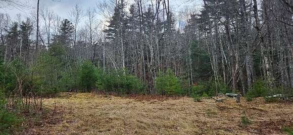 1 Acre of Residential Land for Sale in Dedham, Maine