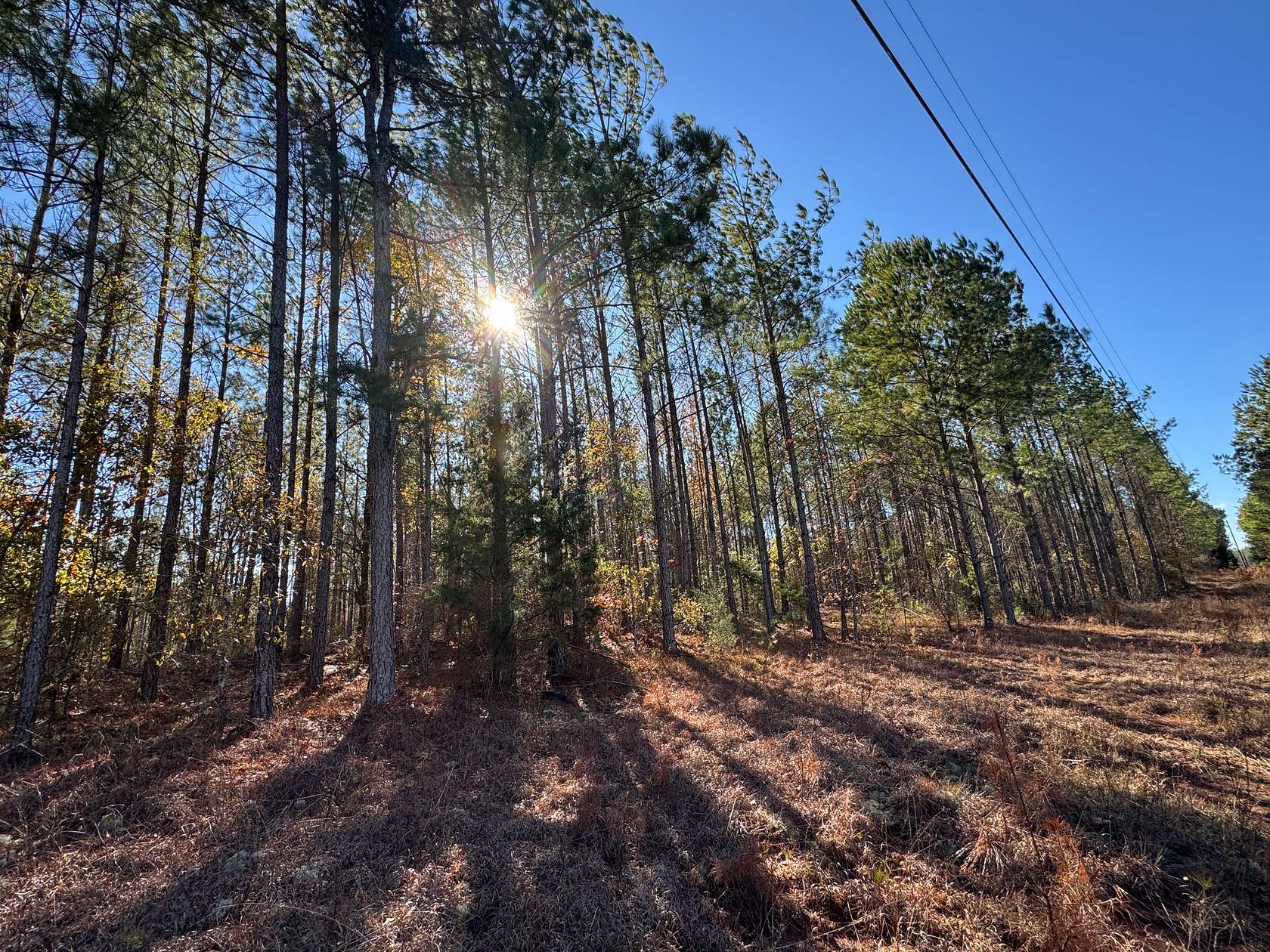 41 Acres of Recreational Land for Sale in Camp Hill, Alabama