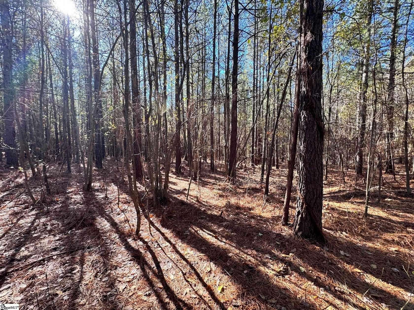 45.92 Acres of Recreational Land for Sale in Pelzer, South Carolina