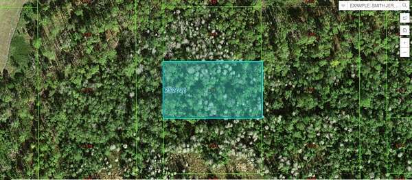 1 Acre of Land for Sale in Polk City, Florida