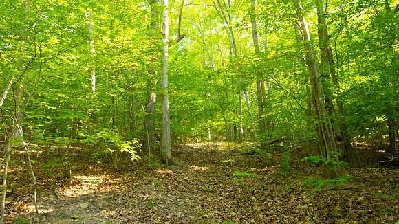 42 Acres of Recreational Land for Sale in Stout, Ohio