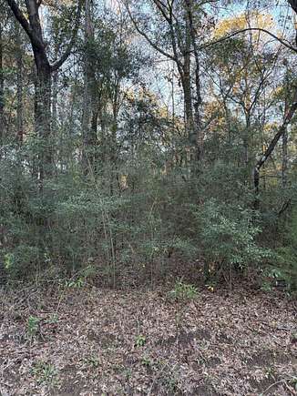 0.67 Acres of Residential Land for Sale in Andalusia, Alabama