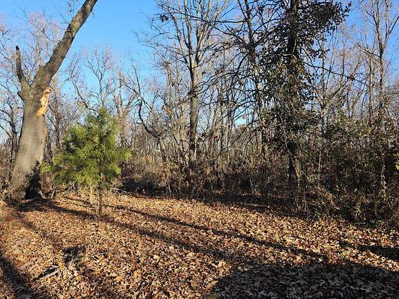 20 Acres of Recreational Land for Sale in Pineville, Missouri