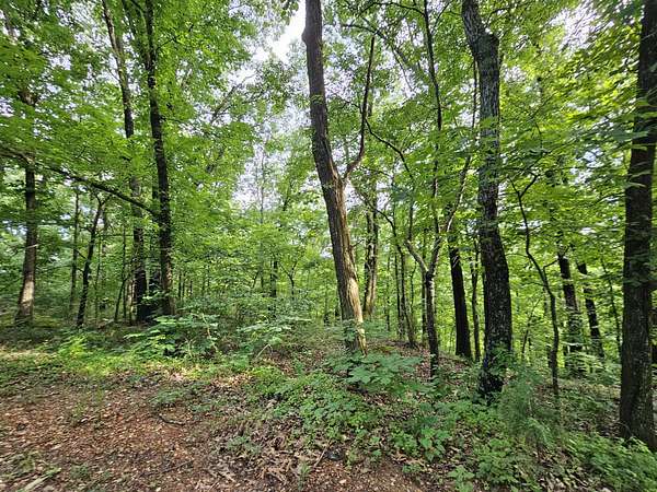 20 Acres of Recreational Land for Sale in Pineville, Missouri