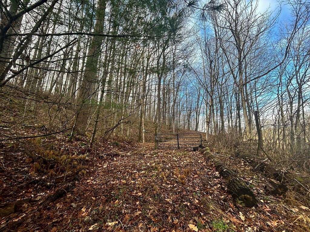 13.41 Acres of Land for Sale in Rural Retreat, Virginia