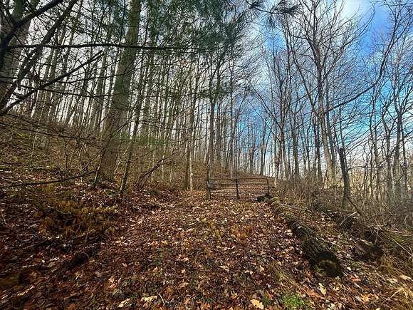 13.41 Acres of Land for Sale in Rural Retreat, Virginia