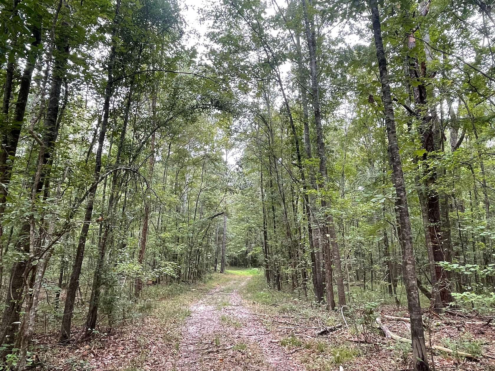 1,442 Acres of Land with Home for Sale in Alberta, Alabama