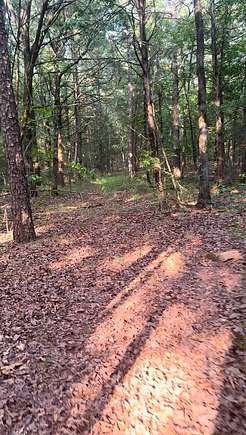 31.16 Acres of Land for Sale in Waldron, Arkansas