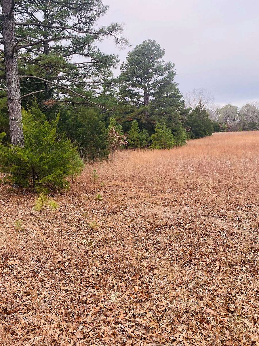 25 Acres of Land for Sale in Calico Rock, Arkansas